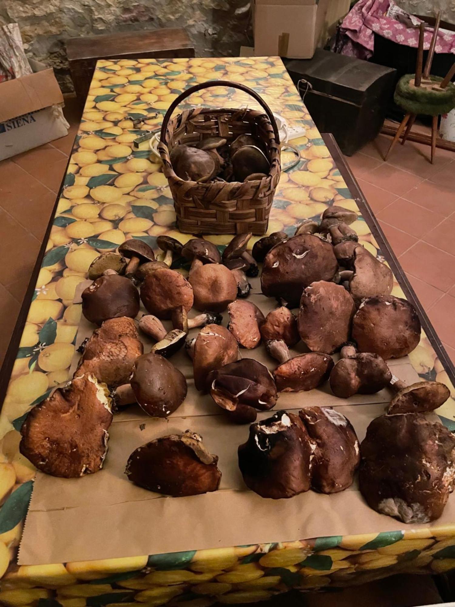 Casamoira Daire Trequanda Dış mekan fotoğraf